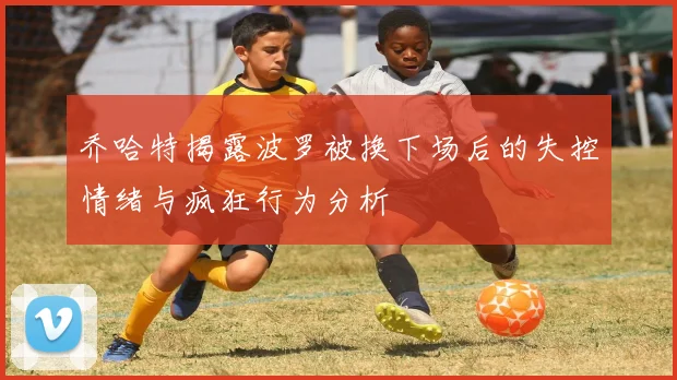 乔哈特揭露波罗被换下场后的失控情绪与疯狂行为分析