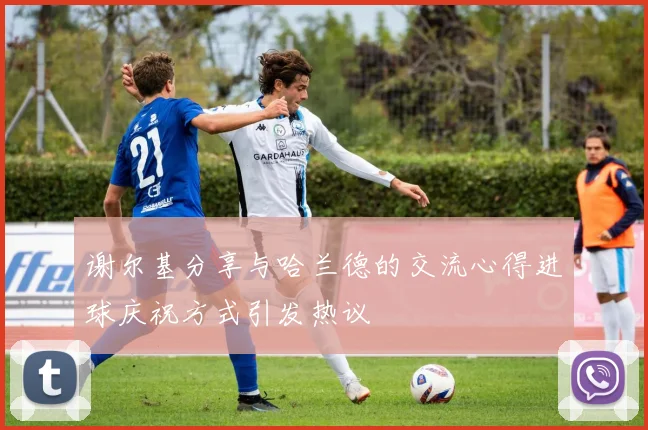 谢尔基分享与哈兰德的交流心得进球庆祝方式引发热议